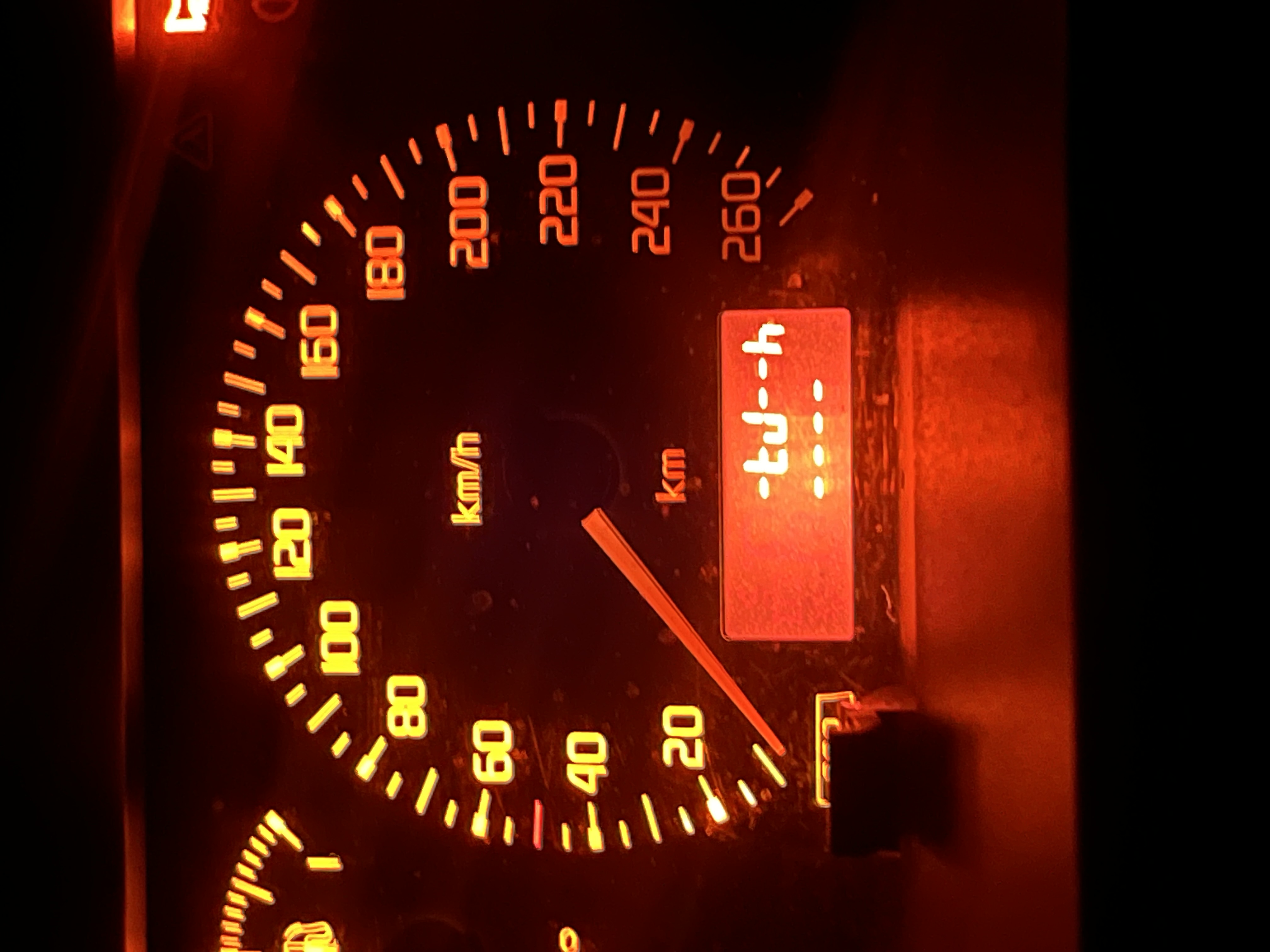 IMG_1138.jpeg